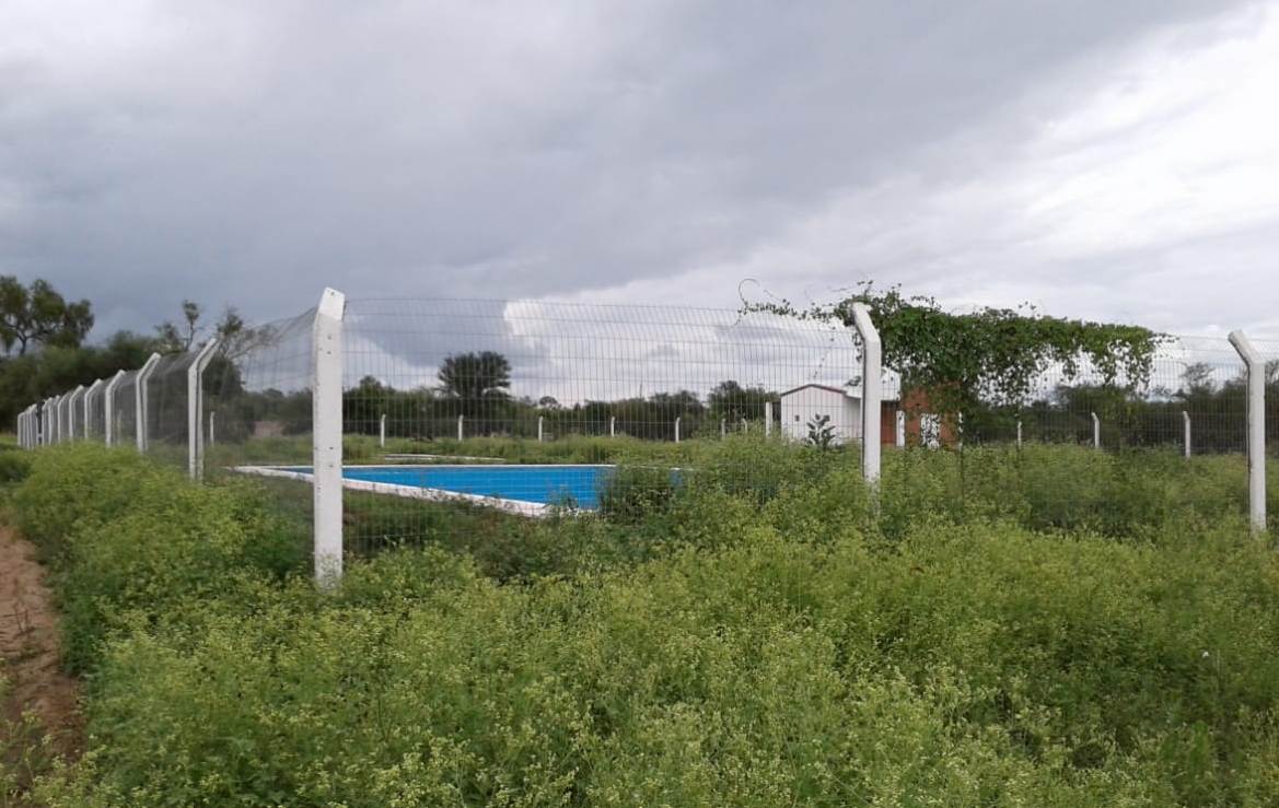 53-NATATORIO POMPEYAS