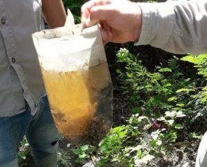 83024811_2559245010868650_311731410698240000_o