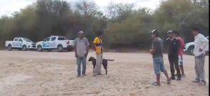 17a606c6-6eb5-40d8-96fd-00f6fb8b240f