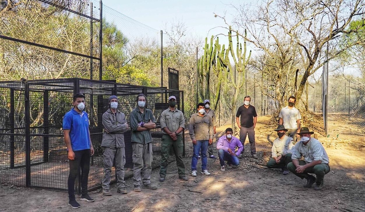 WhatsApp Image 2020-09-25 at 07.54.09 (6)