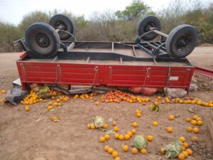 d7cf0d45-2272-4ec2-a5fd-c42233ec2a59