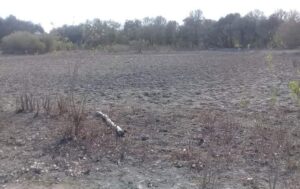 9950bf5a-a794-4dfb-8e35-63fa14f29aa4