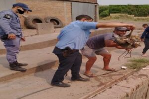 a1cd763ba5d900dab86e1acc960b9045517dbad0