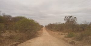 d51e8478-114e-4590-9601-13fc86e2a4d4