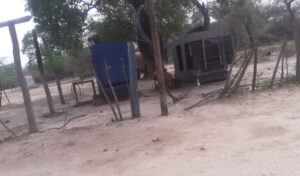 generadores fortin belgrano