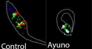 5fa03460427cb212712999