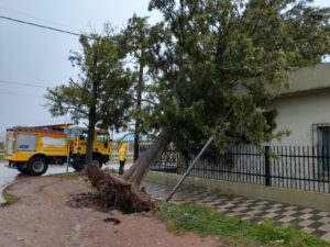 img_20201213_172005648_hdr388177571783385230-scaled (1)