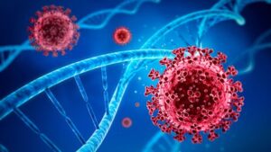 GKBIGGWCRFHBZHO4QIQPWKF7NQ