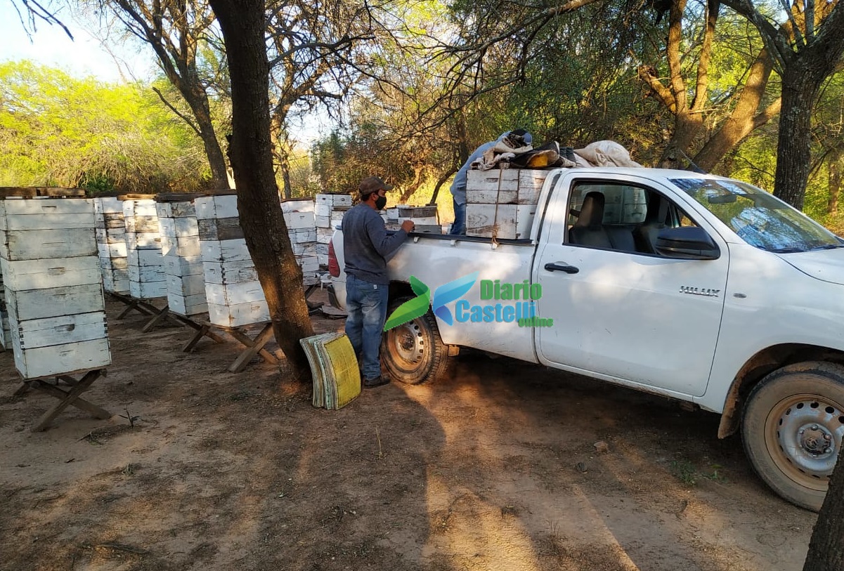 53-EXPORTACION MIEL (1)