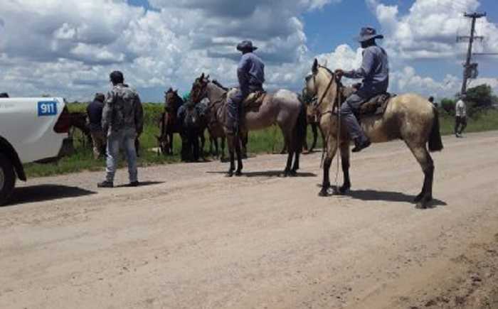 602ae9b999365773295930 (1)