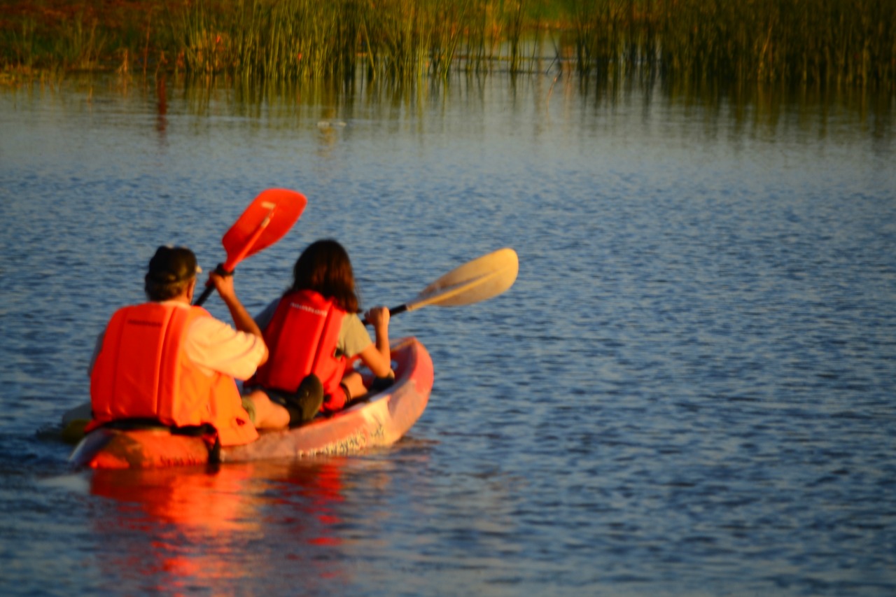 a2c10d9a-eb9d-446f-b796-03be3cff4356