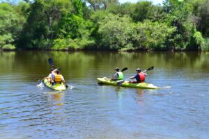 dbf764f7-e07b-41d6-8717-d072141866ca