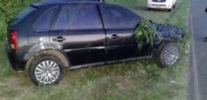 53-accidente animales