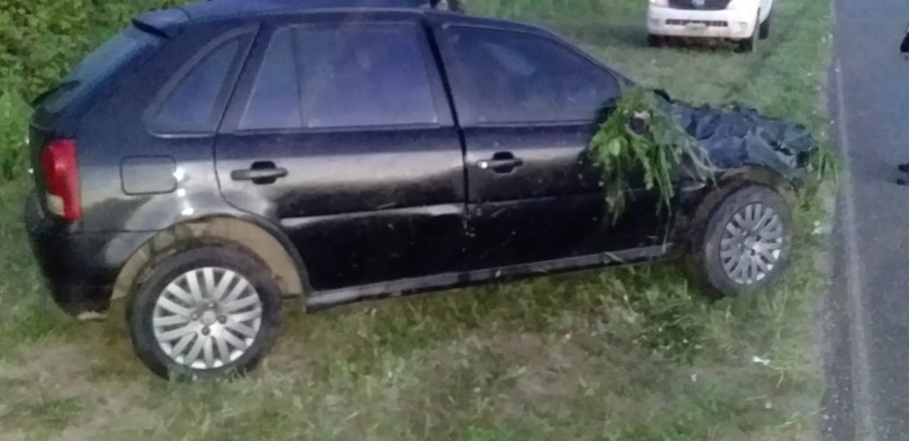 53-accidente animales