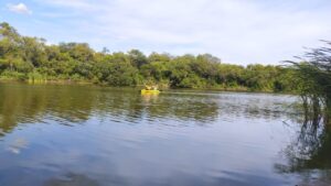 181323481_324818992342539_513085775130209138_n