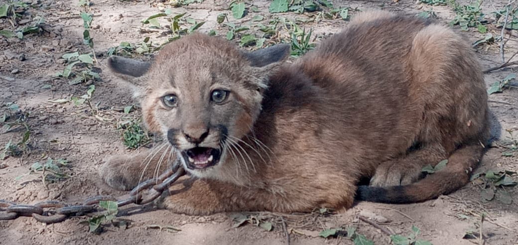 e649c2d8-e13f-4967-8e3c-d5706d97e8dd