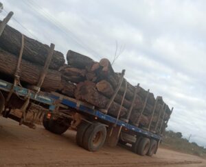 b46bc3d7-8b89-4201-b0f0-e0f4cc76a4a0