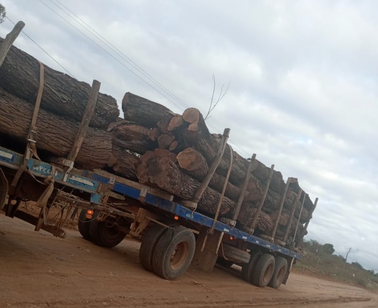 b46bc3d7-8b89-4201-b0f0-e0f4cc76a4a0