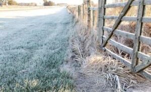 helada impenetrable1