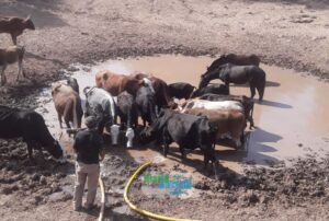 53-SEQUIA IMPENETRABLE (2)eeee