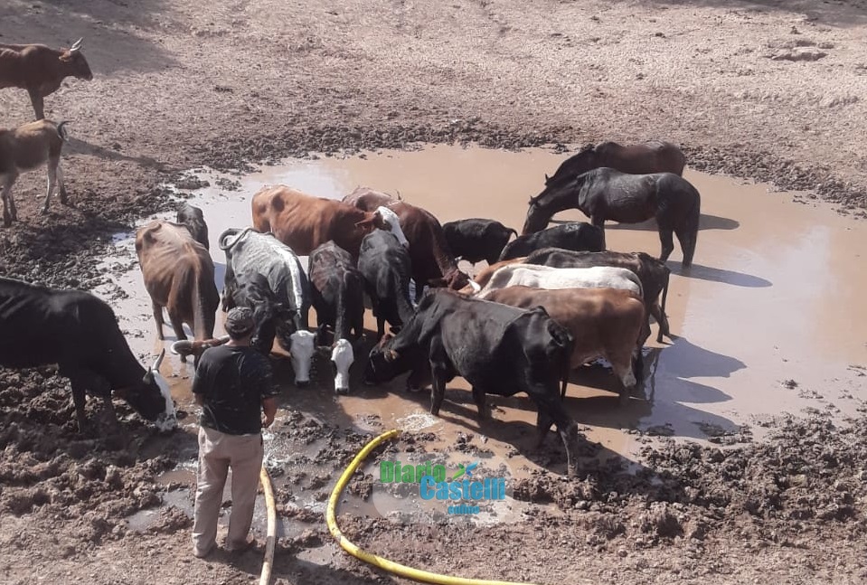 53-SEQUIA IMPENETRABLE (2)eeee