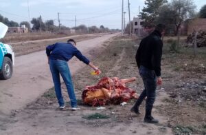 1af93b53-7378-4187-b5dc-493e92e5af17