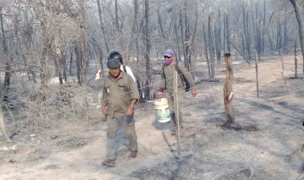 238592397_376918793811365_4315232361698161386_n