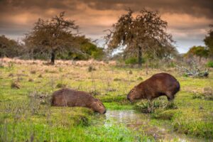 238604114_4378624895551863_7728666621644400635_n