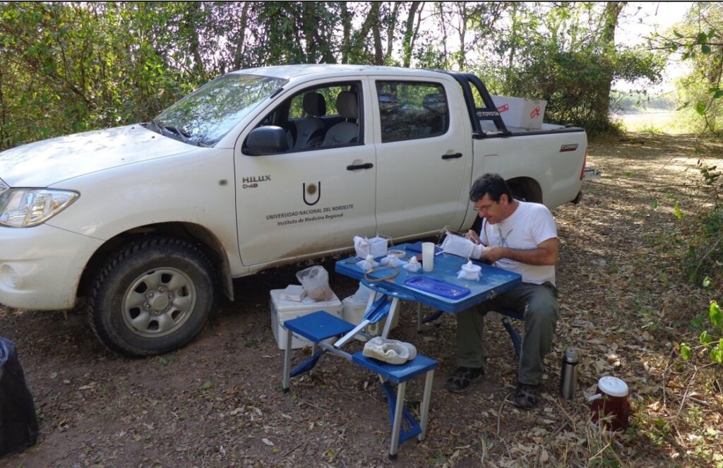 thumbnail_Estudio del IMR UNNE nueva especie de flebótomo para la ciencia
