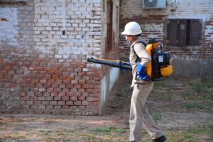 240481237_3064708597133658_4170238704927992725_n