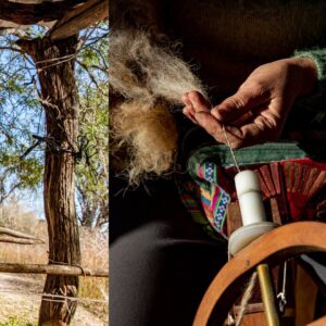 241698112_4418486644899021_6025081842160791819_n