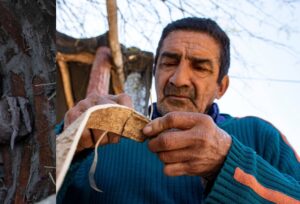 241820687_4418486624899023_5791383143267965421_n