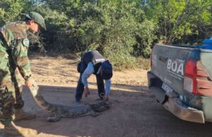 6c3e1e7b7ad42c5a5661a8421472896d