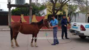 956bc513-ecb2-452e-ae52-1028611ea28f (1)