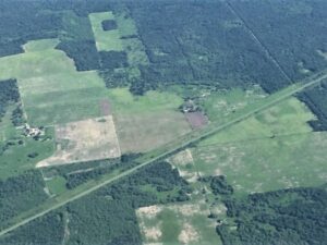 thumbnail_bosques-696x522