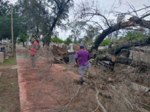 26242aff-dd03-4182-be11-e4e92a98d9e1