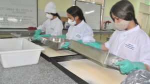 PROYECTO HARINA DE ALGARROBA