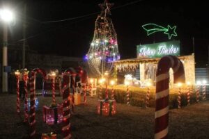 264292862_4446691125430267_3638735931608794888_n