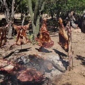 268926252_1919759191539329_7871003111920336565_n