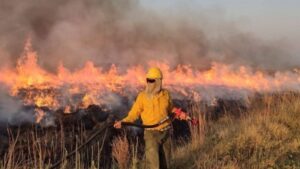 INCENDIOS CORRIENTES1