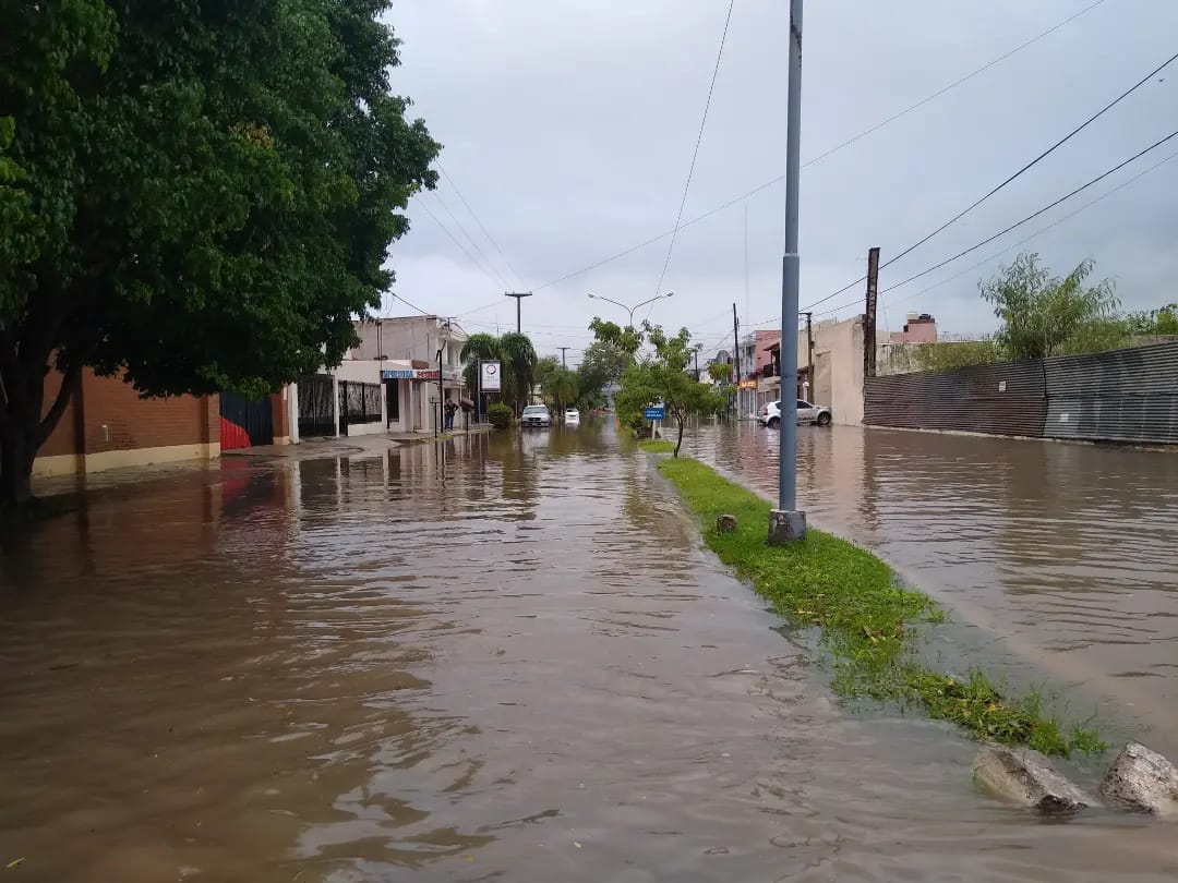 276123995_275405614752307_3780740434052480720_n