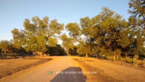 3f5b6330-090c-4b14-965a-ae277d77752f (1)