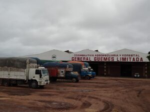 COOP GUEMES ALFGODON