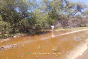 DESBORDE BERMEJITO (1)