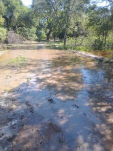 DESBORDE BERMEJITO122