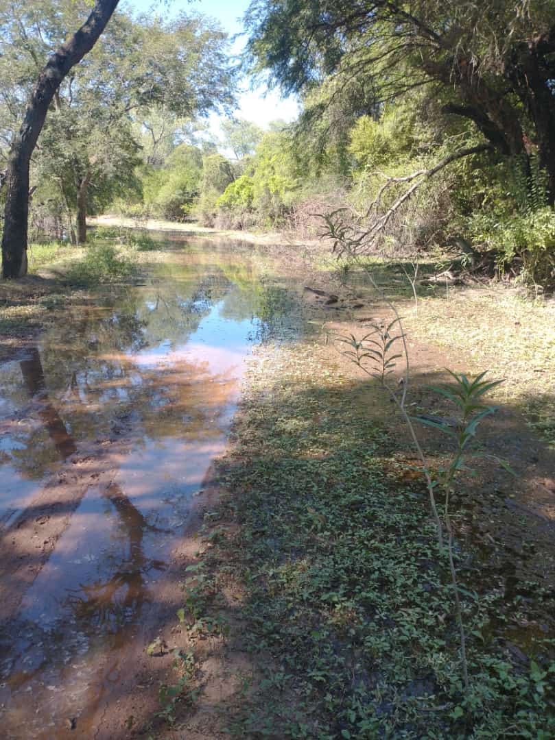 DESBORDE BERMEJITO14