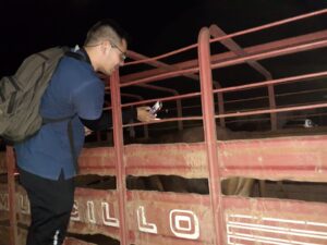 173550d9-67ec-4c61-abea-d0f99c219afc