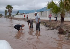 c65612ca-c0a6-4f6d-a24b-161c479772e7