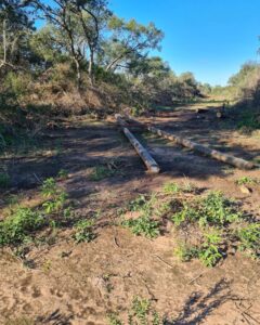 280025147_5405087306197634_2020945292695261700_n