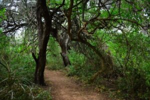 290332003_5225694947510115_5450913391053373612_n